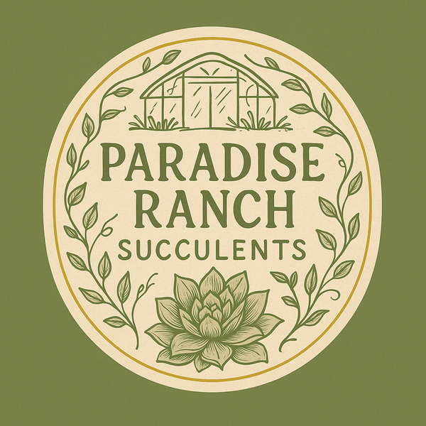 Paradise Ranch Succulents